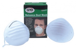 detail_31387_nuisance_dust_mask.jpg