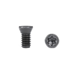 detail_66212_ms-ks48-torx-head-woodturning-screw_grande.jpg