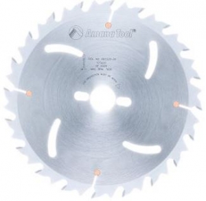 Amana Tool RB1020-30 Carbide Tipped Euro Rip With Cooling Slots 10 Inch D x 20T FT, 18 Deg, 30MM Bore, Circular Saw Blade