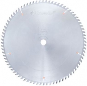Amana Tool 716801 Carbide Tipped Cut-Off and Crosscut 16 Inch D x 80T TCG, 10 Deg, 1 Inch Bore, Circular Saw Blade