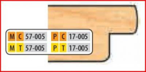 PT17005 4 x 1 1/4 BORE T DOOR EDGE DETAIL CUTTER