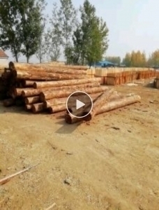 Furniture Grade Plywood Log Peeling Process Click here for video 